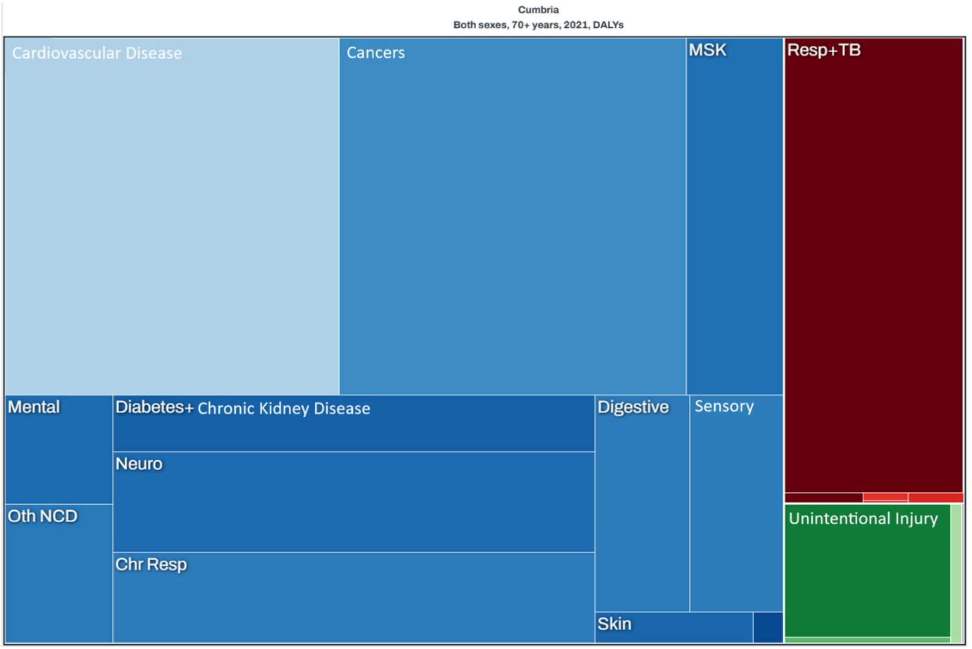 Burden of Disease Graph