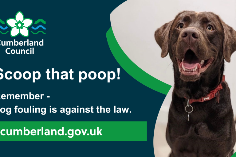 Scoop that poop campaign
