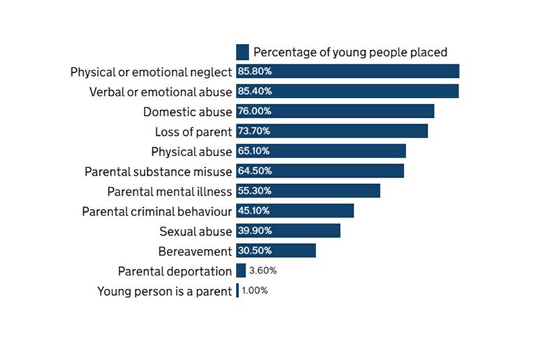 Adverse childhood experiences of young people