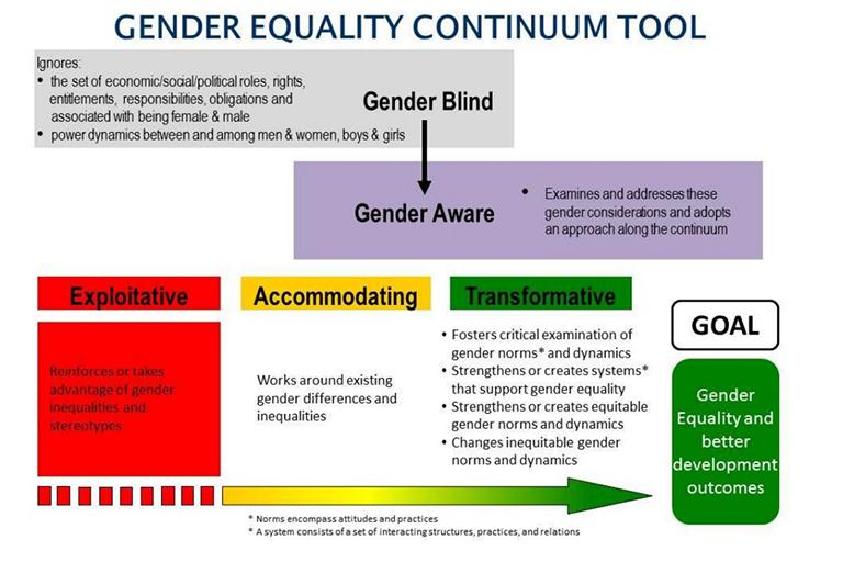 Gender integration continuum