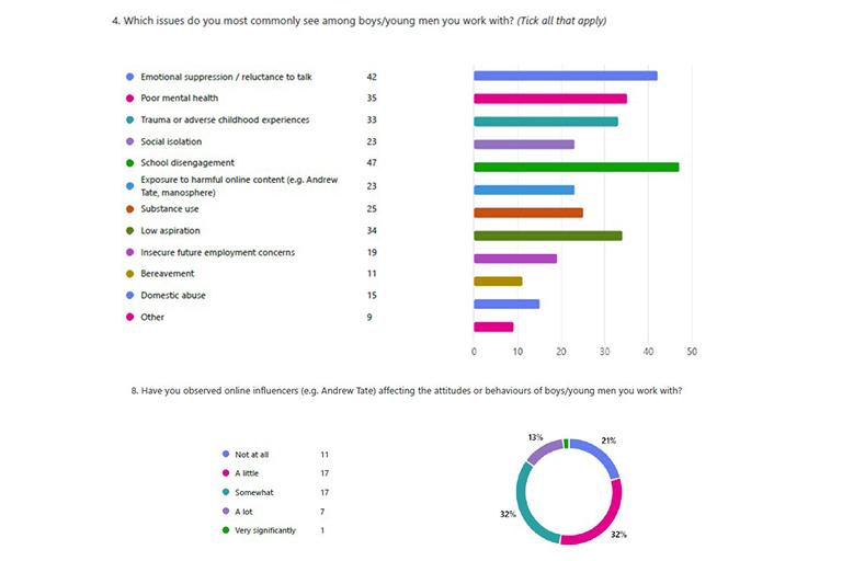 Responses from survey relating to online influencers