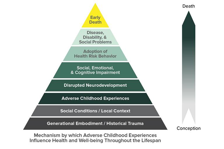 The ACE pyramid