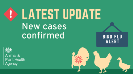 Graphic on latest on Bird Flu
