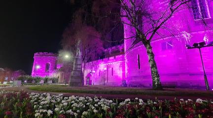 Carlisle Citadels' lit purple