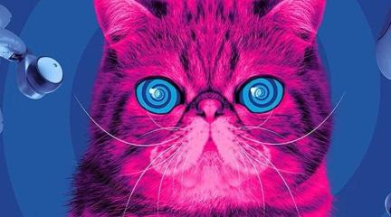 Hypnocat - a pink cat used to promote electricals recycling