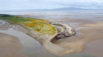 A shoreline with sand and a slight grassy area