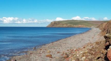 Coast with blue skies