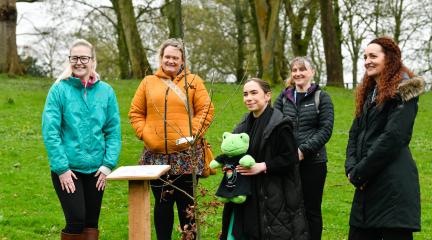 Tree planting