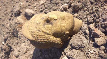 Roman find