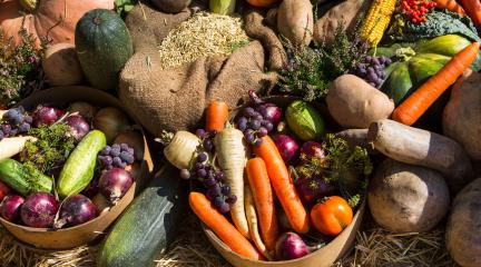 Harvest festival vegetables