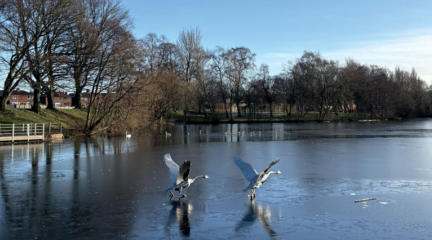 Hammond's Pond 