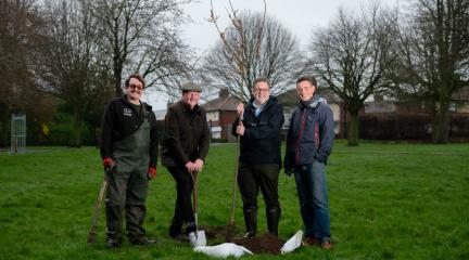 Tree planting in Hammond's Pond, Carlisle