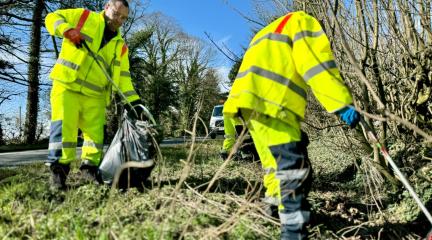 Verge litter pick