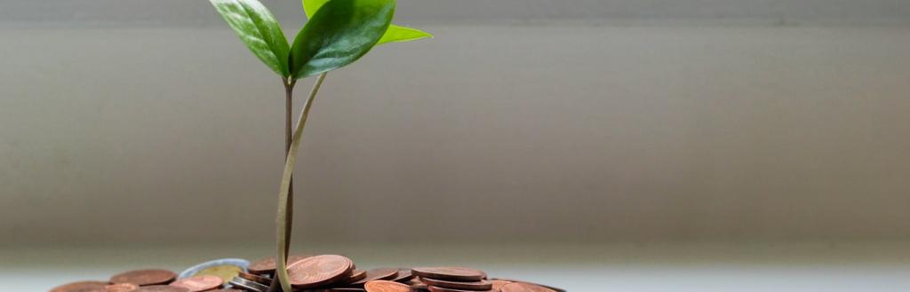 A pile of coins, from which a plant is growing