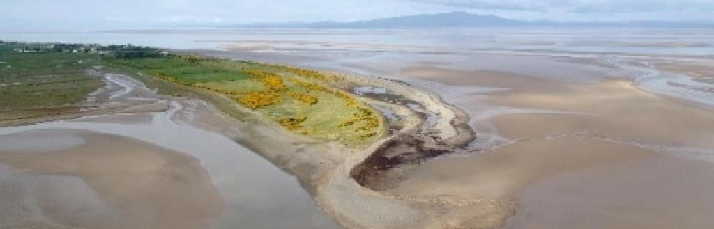 A shoreline with sand and a slight grassy area