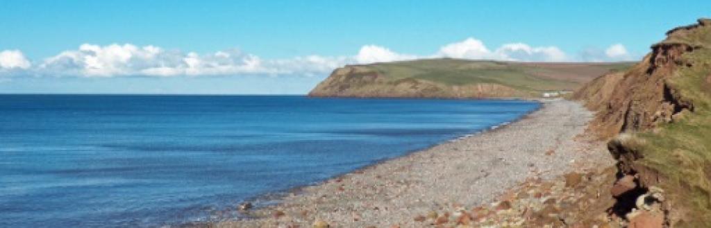 Coast with blue skies