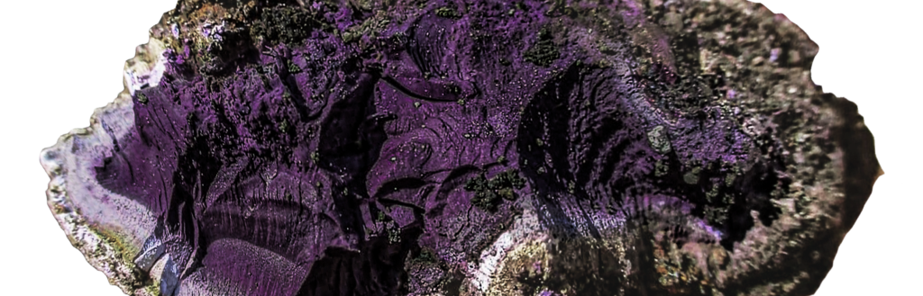 Tyrian purple 