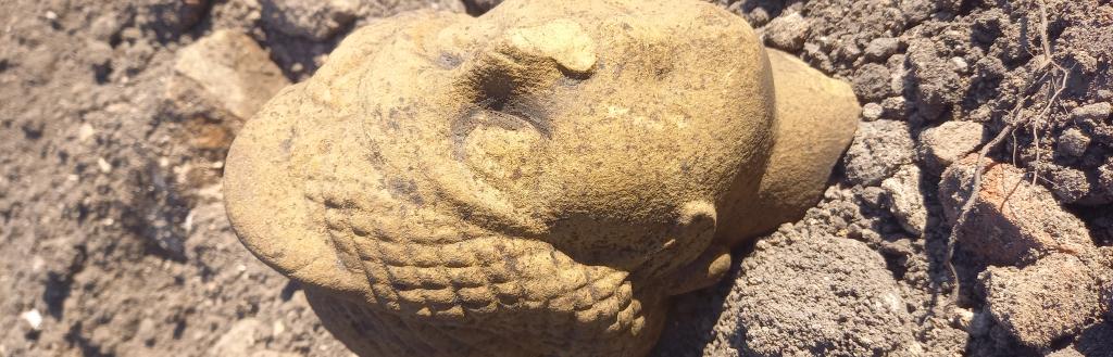 Roman find