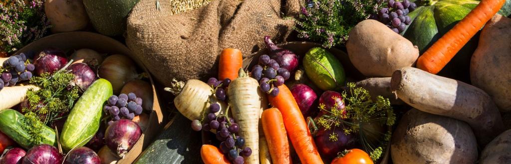 Harvest festival vegetables