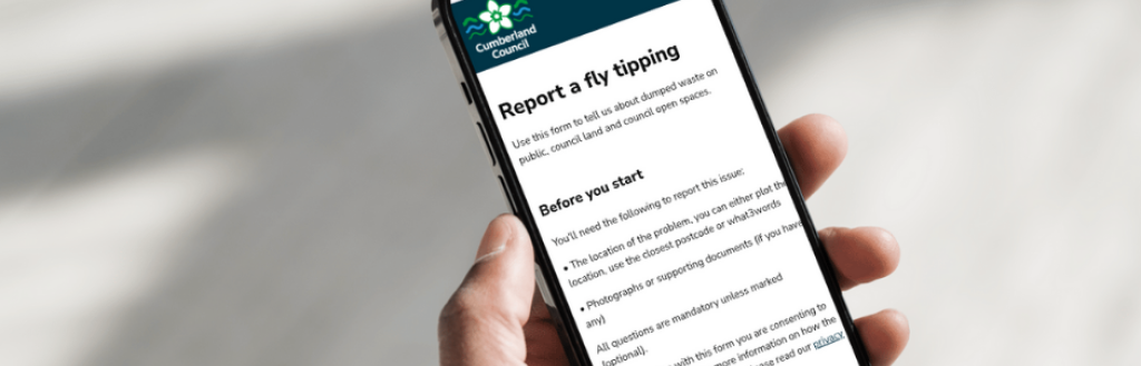 Person on a mobile filling in an online report it form 