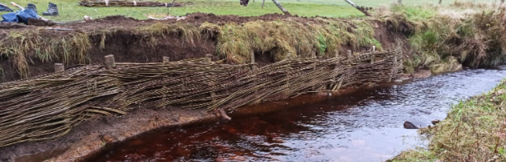 stock image of willow spiling