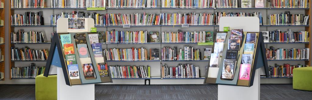 inside of library showing books